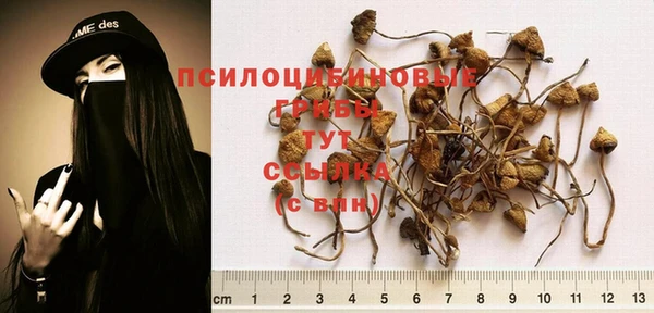 меф VHQ Нея